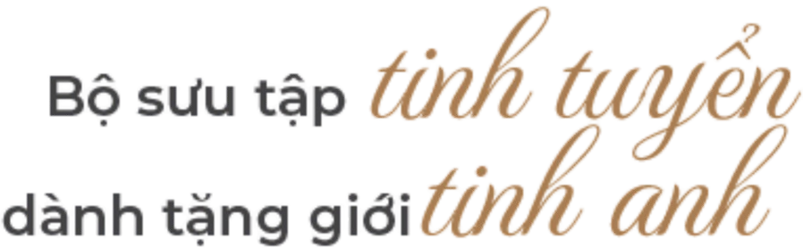 Bộ sưu tập