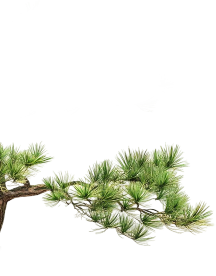 left tree