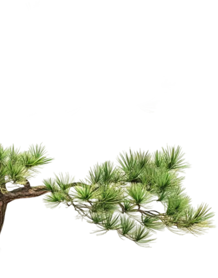 left tree